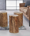 Acacia Tree Trunk Side Table