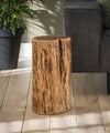 Acacia Tree Trunk Side Table