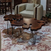 Tree Trunk Center Tables