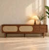 Arvion Rattan TV Unit